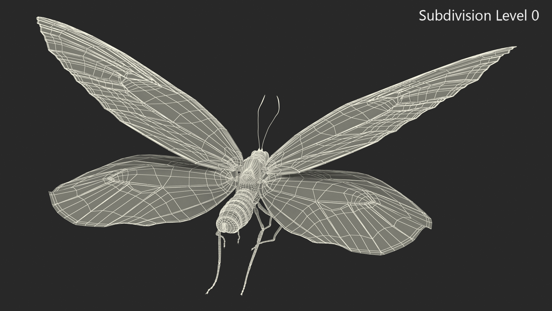 3D Animated Flight Ornithoptera Alexandrae Butterfly Rigged