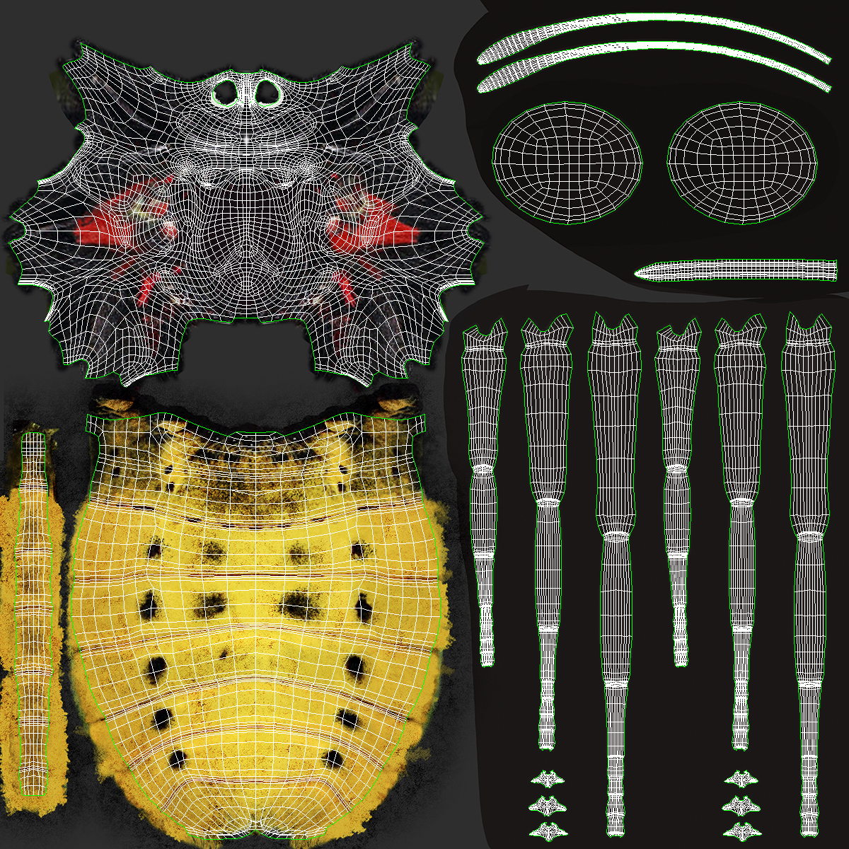 3D Animated Flight Ornithoptera Alexandrae Butterfly Rigged
