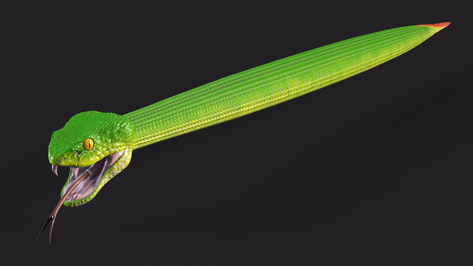 3D Viper Green Trimeresurus Rigged
