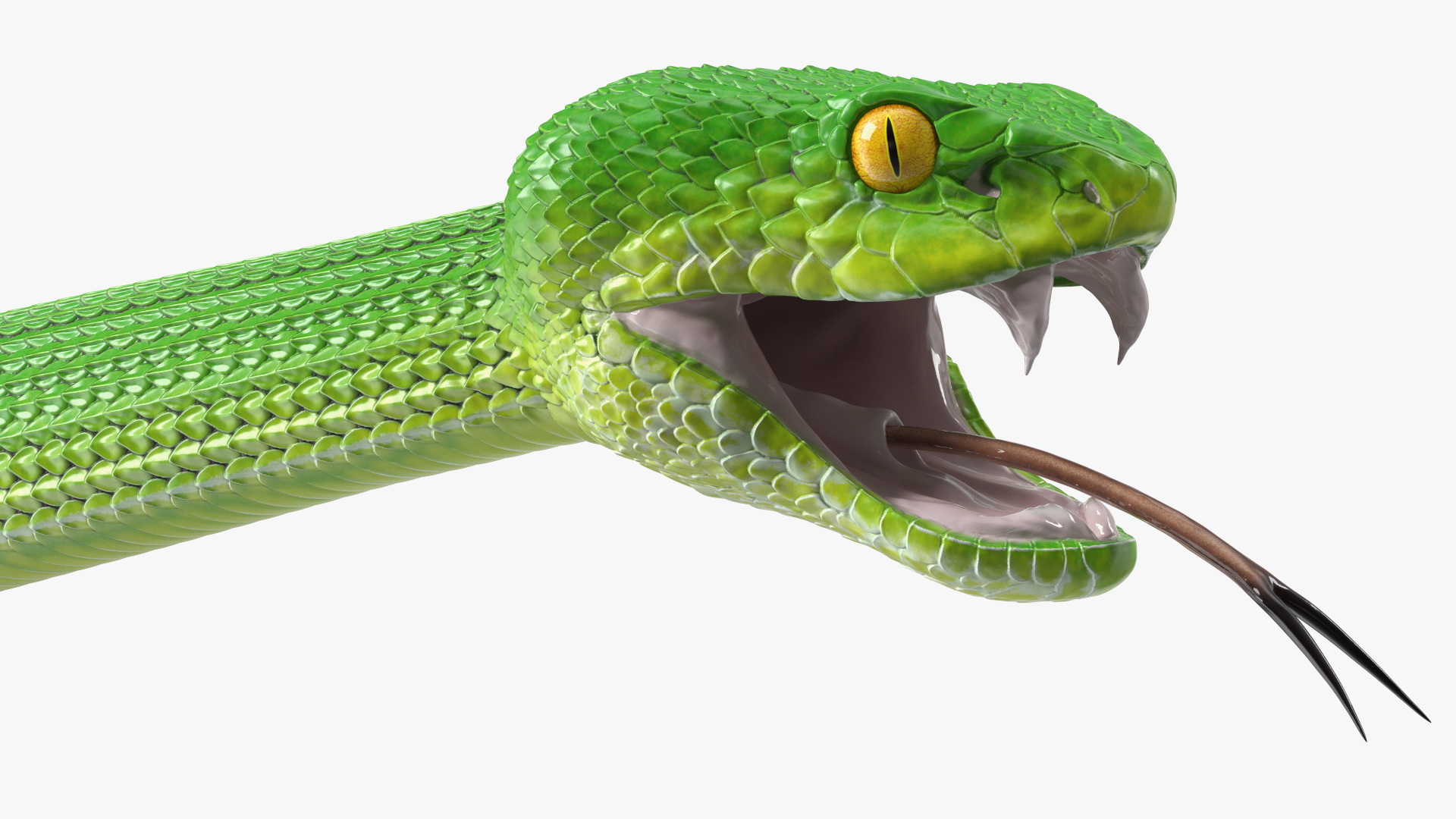 3D Viper Green Trimeresurus Rigged