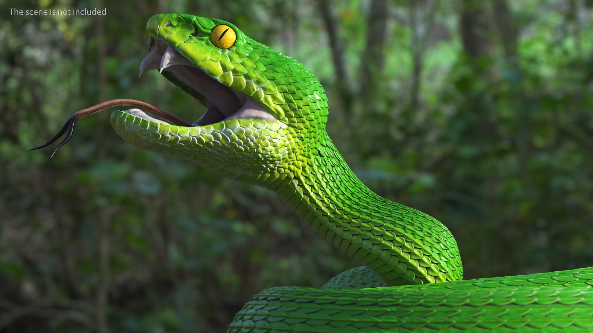 3D Viper Green Trimeresurus Rigged
