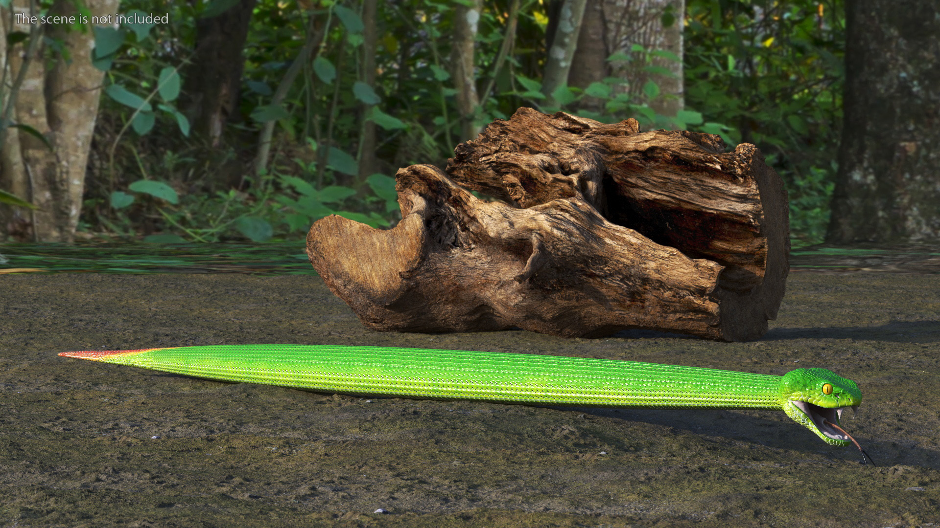 3D Viper Green Trimeresurus Rigged