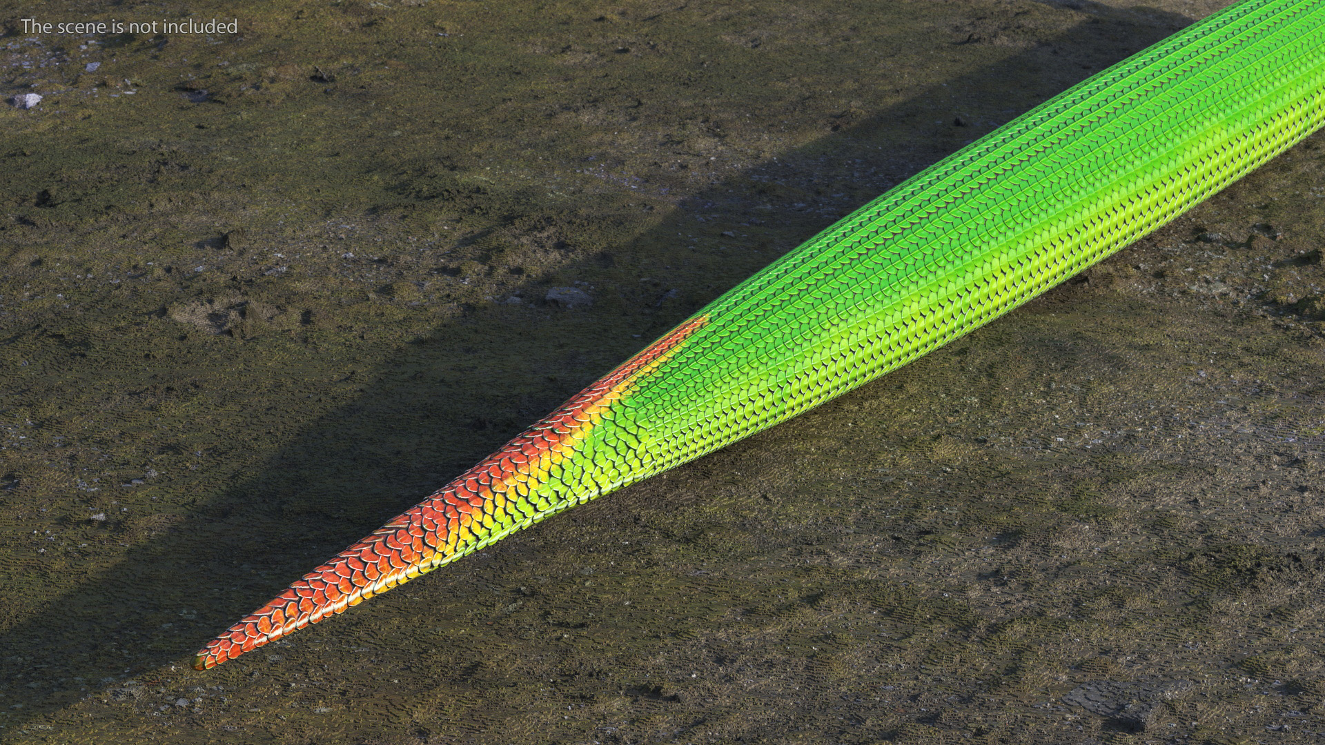 3D Viper Green Trimeresurus Rigged