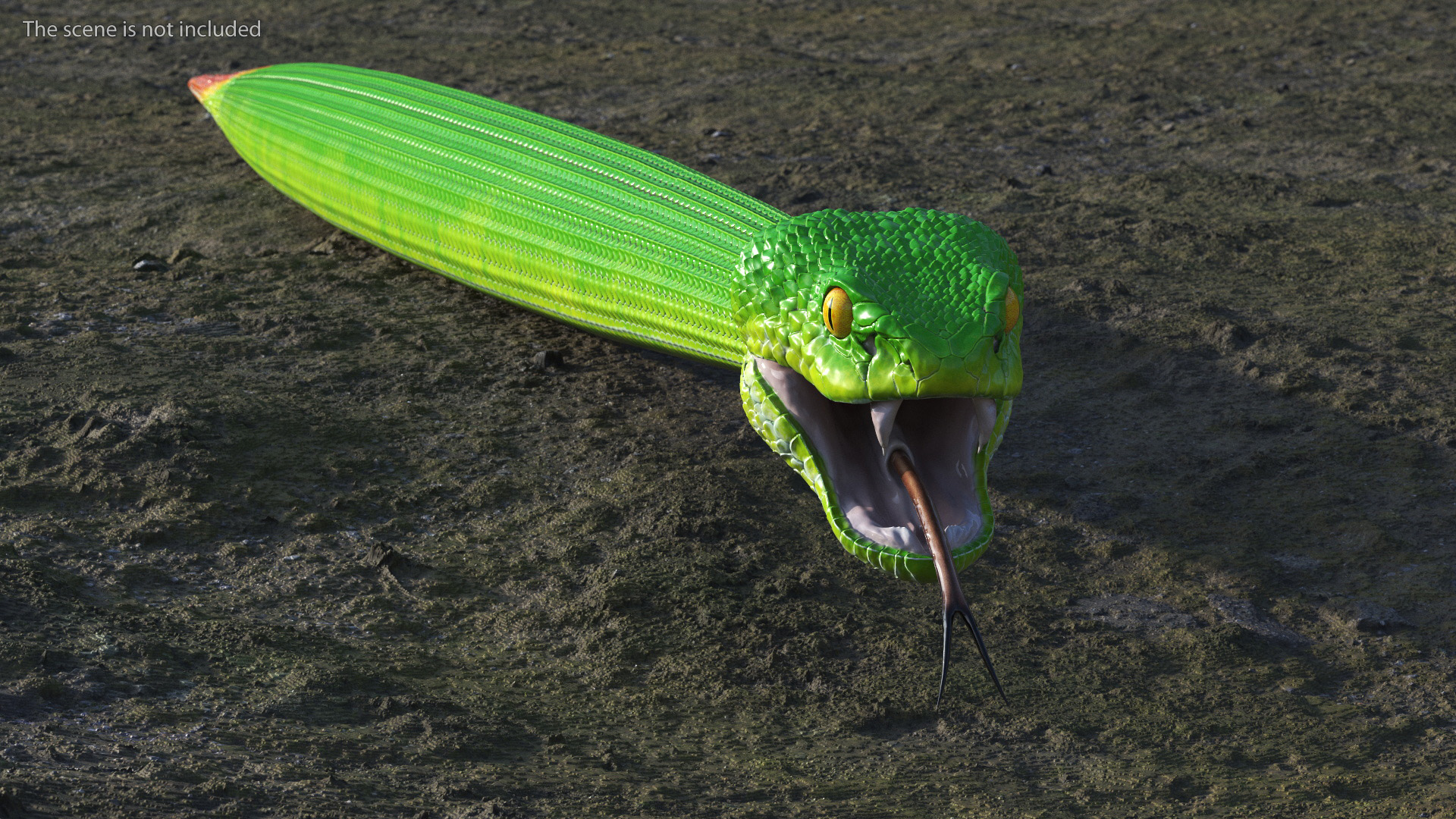 3D Viper Green Trimeresurus Rigged