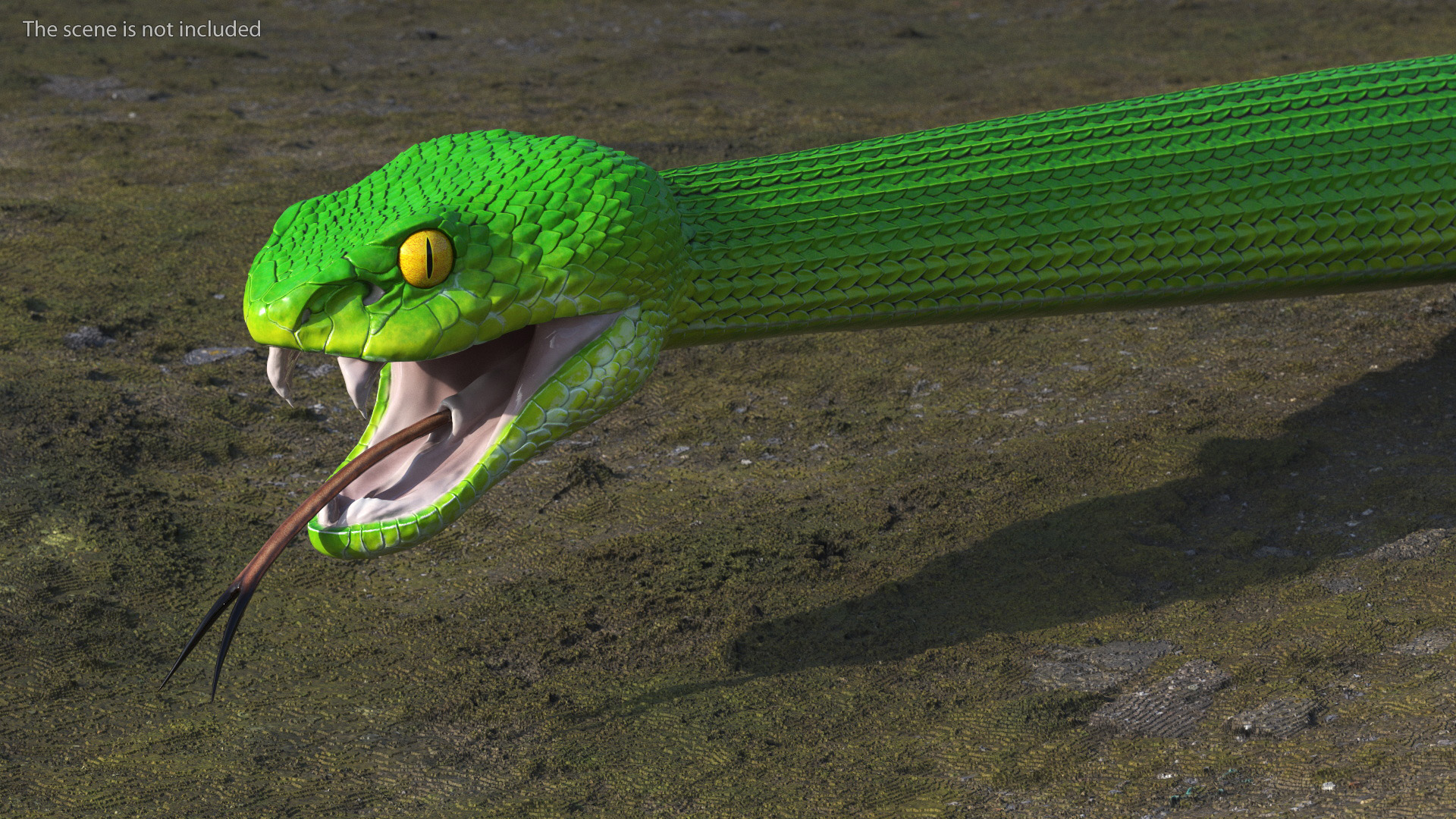 3D Viper Green Trimeresurus Rigged