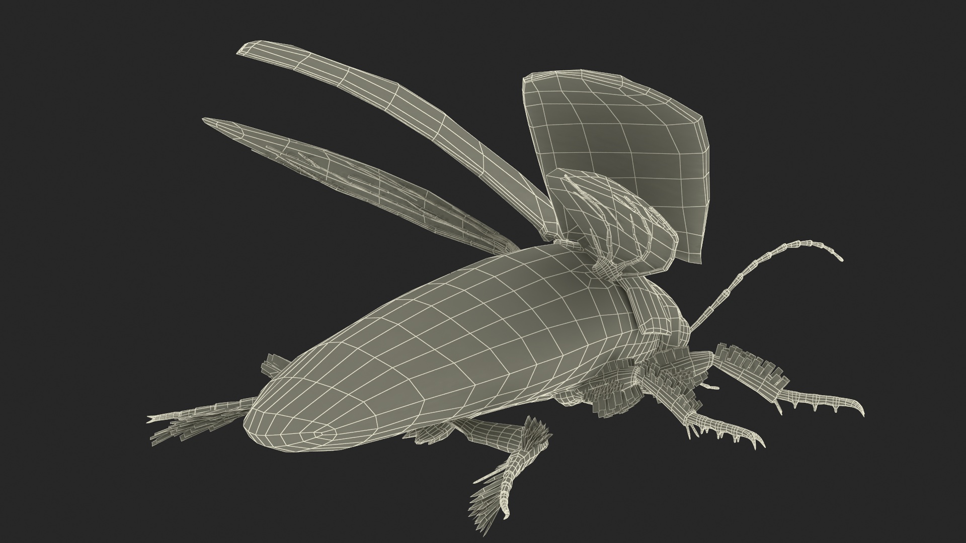 3D Insect Water Beetle Beige Rigged for Maya