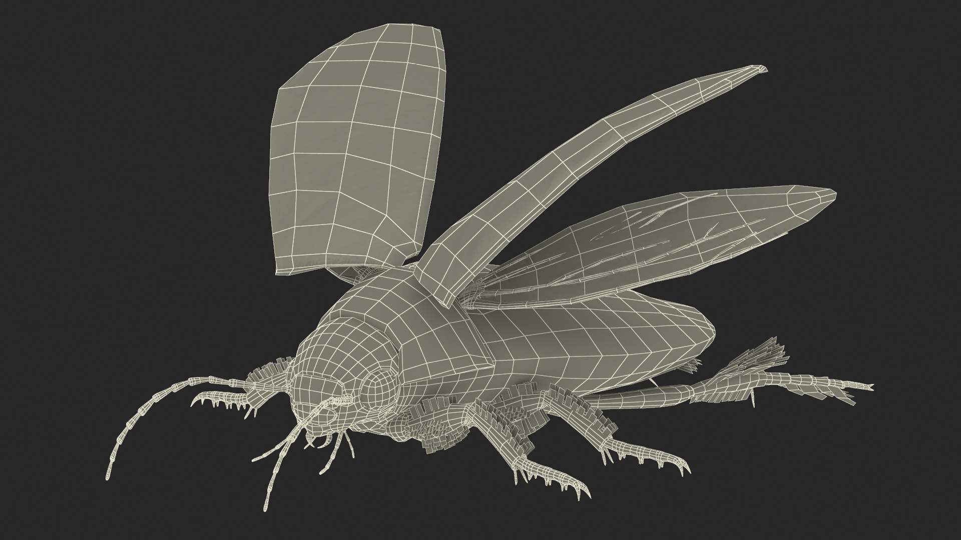 3D Insect Water Beetle Beige Rigged for Maya