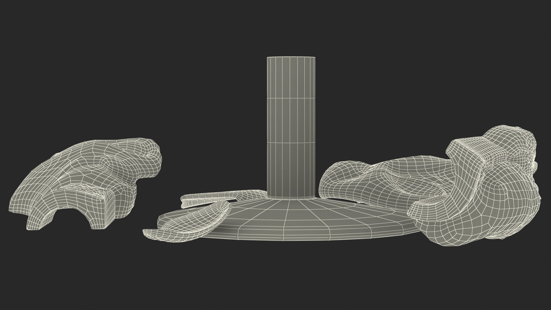 3D Disassembled Medical Model of Larynx
