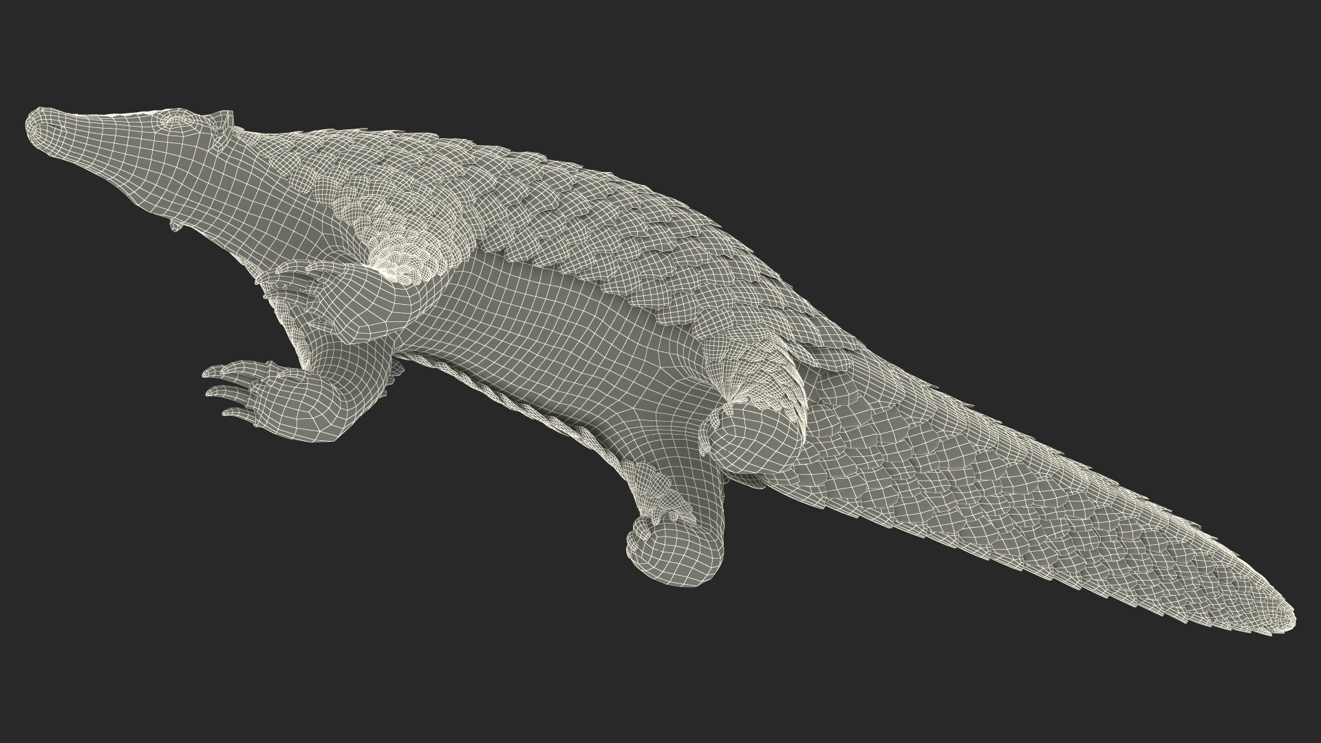 3D model Pangolin Rigged