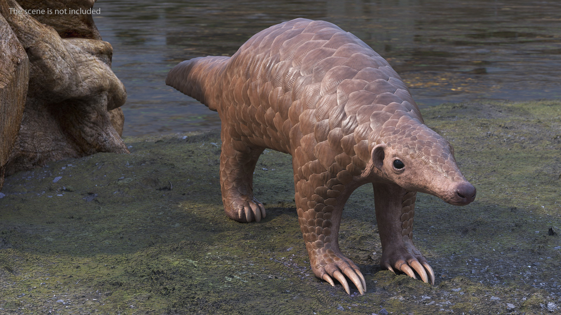 3D model Pangolin Rigged
