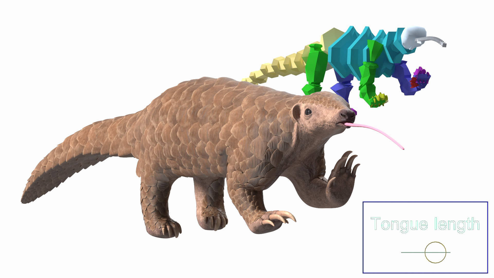 3D model Pangolin Rigged