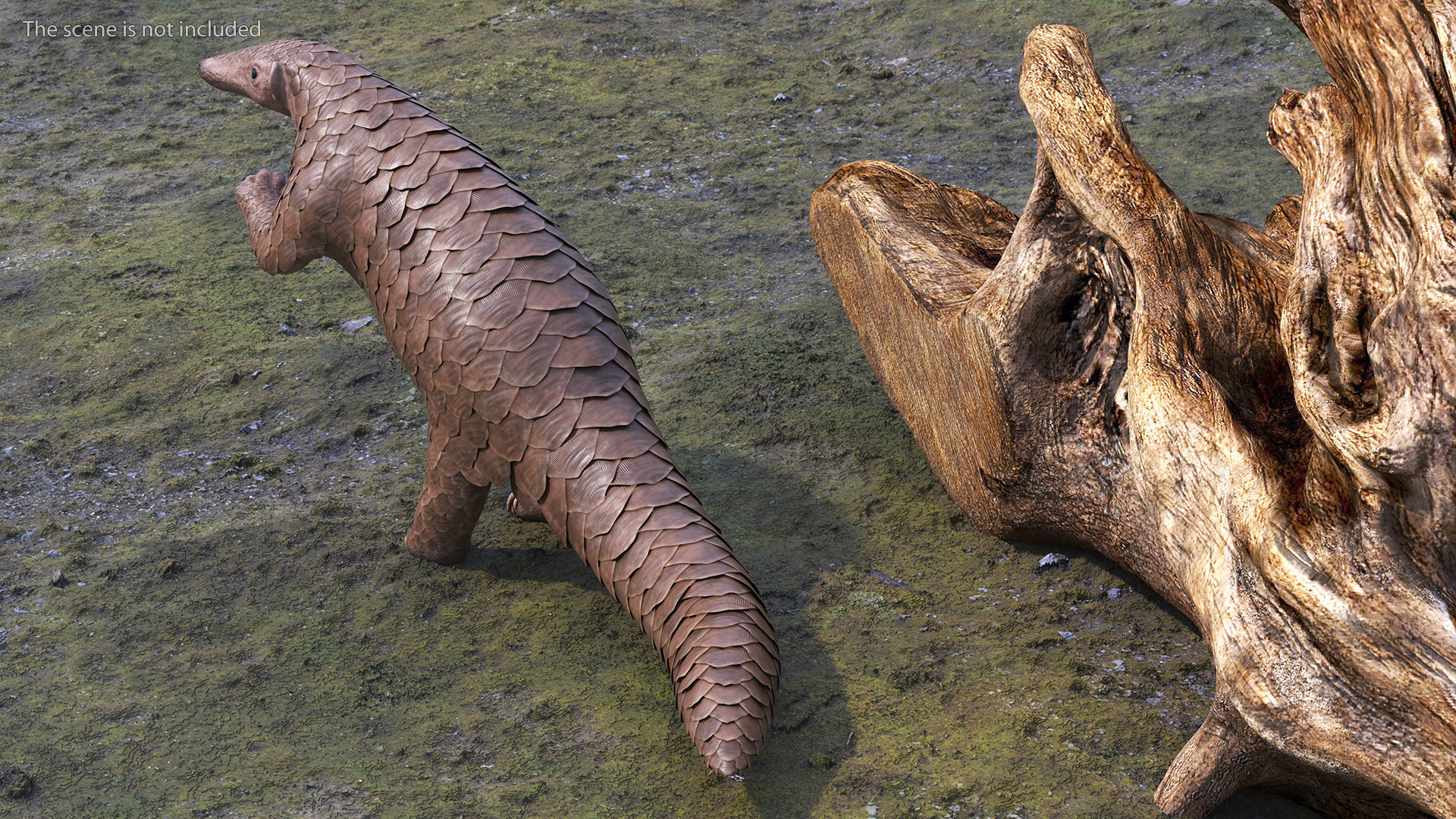 3D model Pangolin Rigged