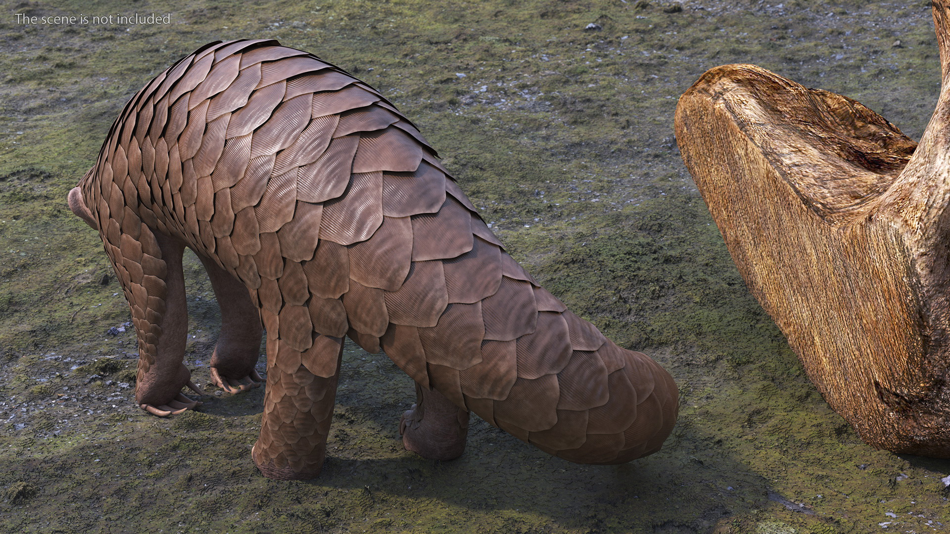 3D model Pangolin Rigged