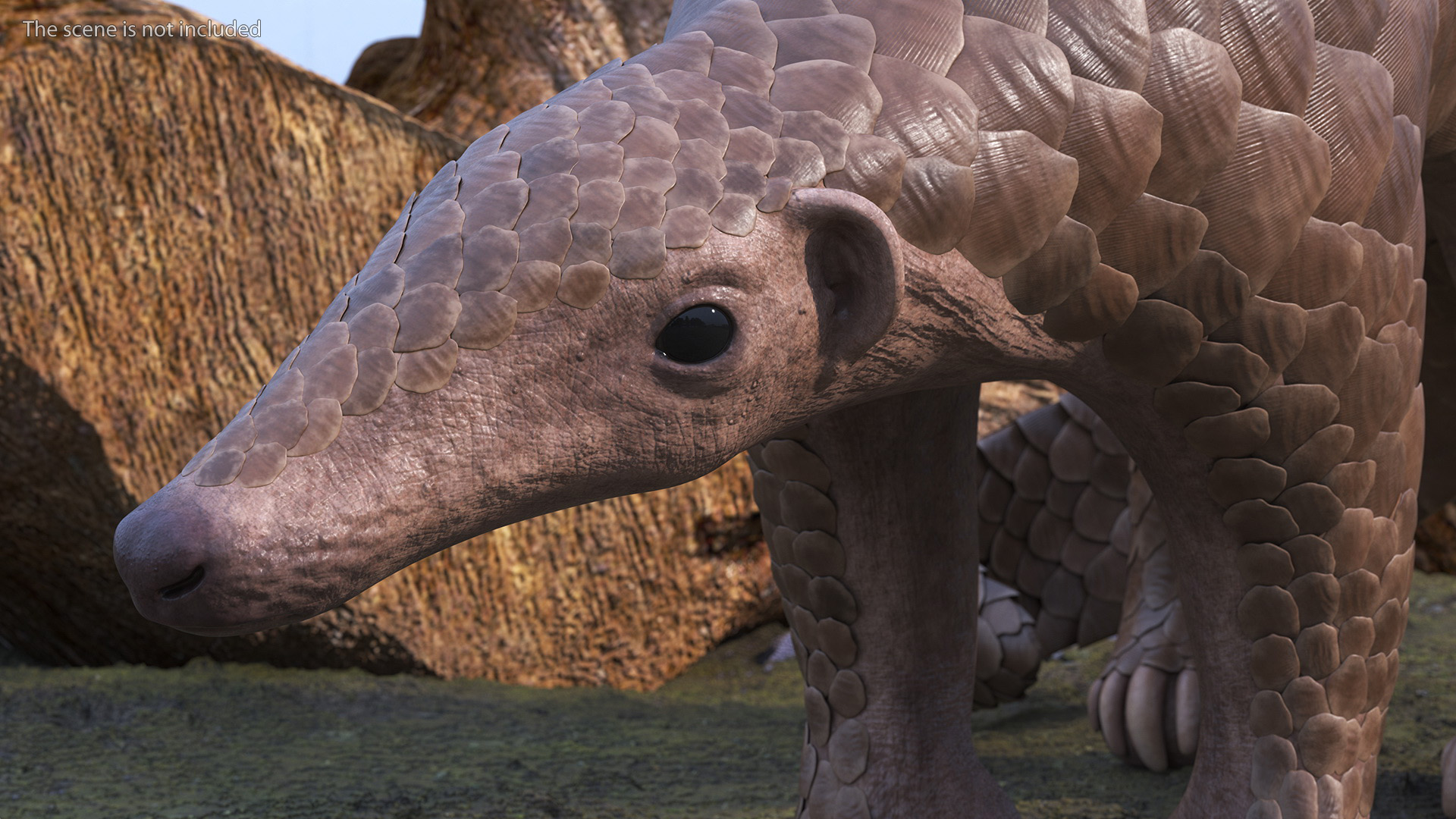 3D model Pangolin Rigged