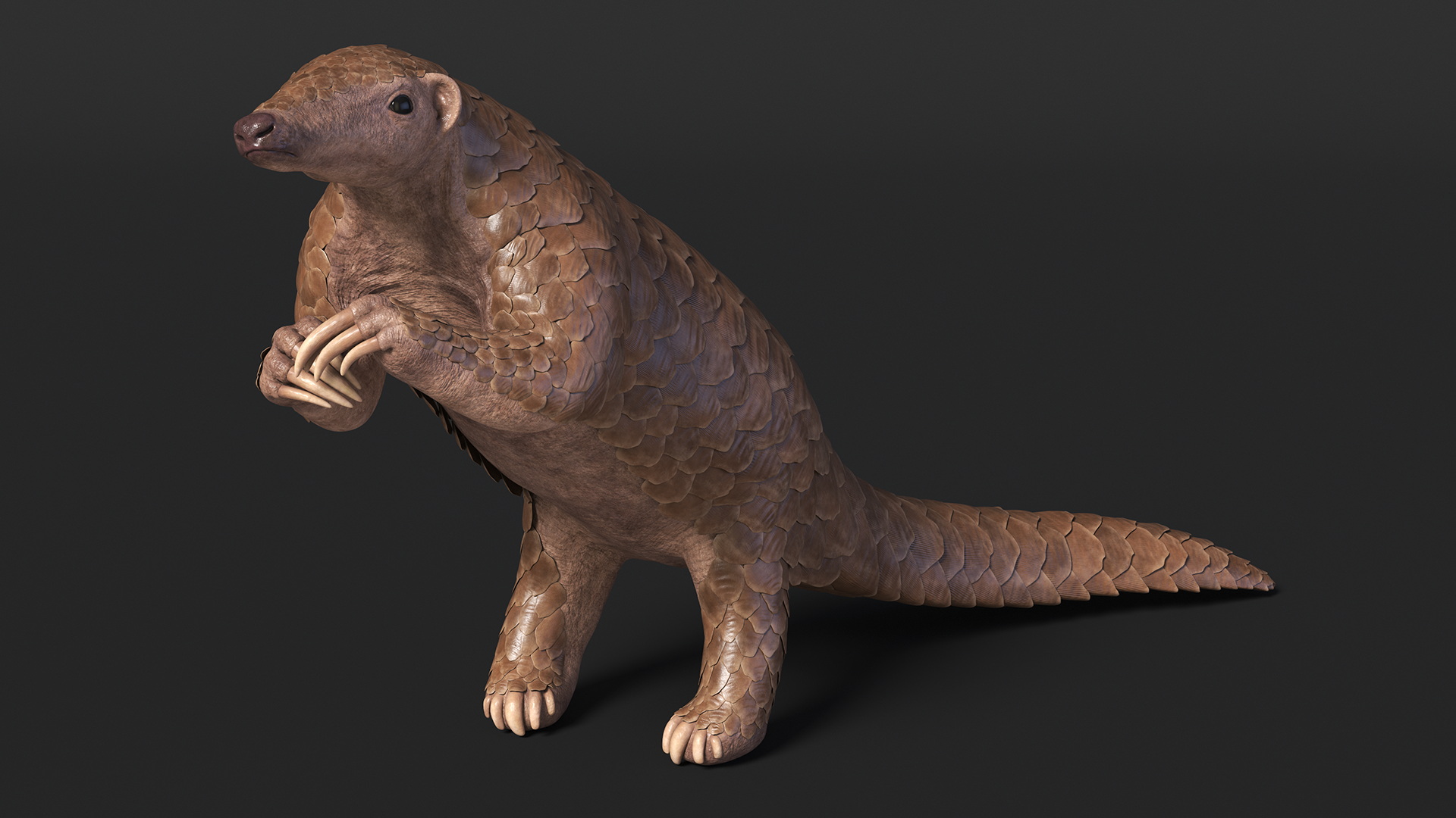 3D model Pangolin Rigged