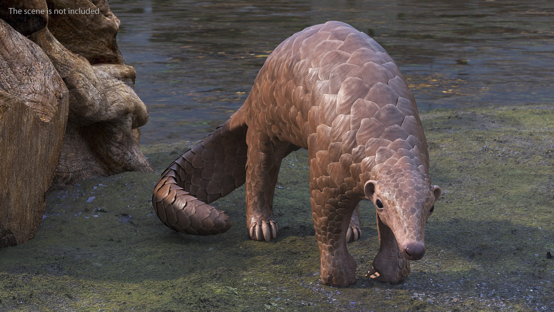 3D model Pangolin Rigged