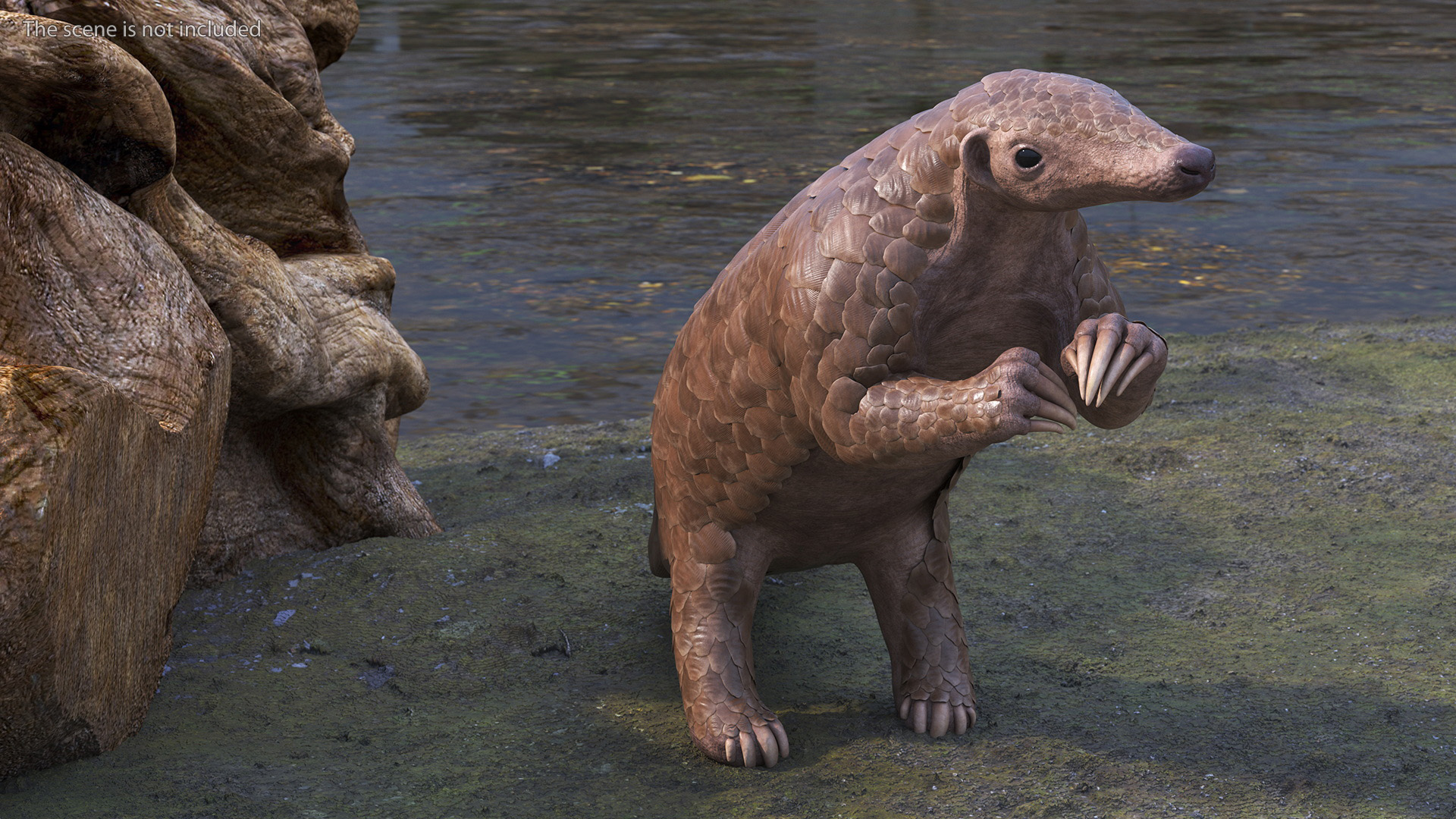 3D model Pangolin Rigged