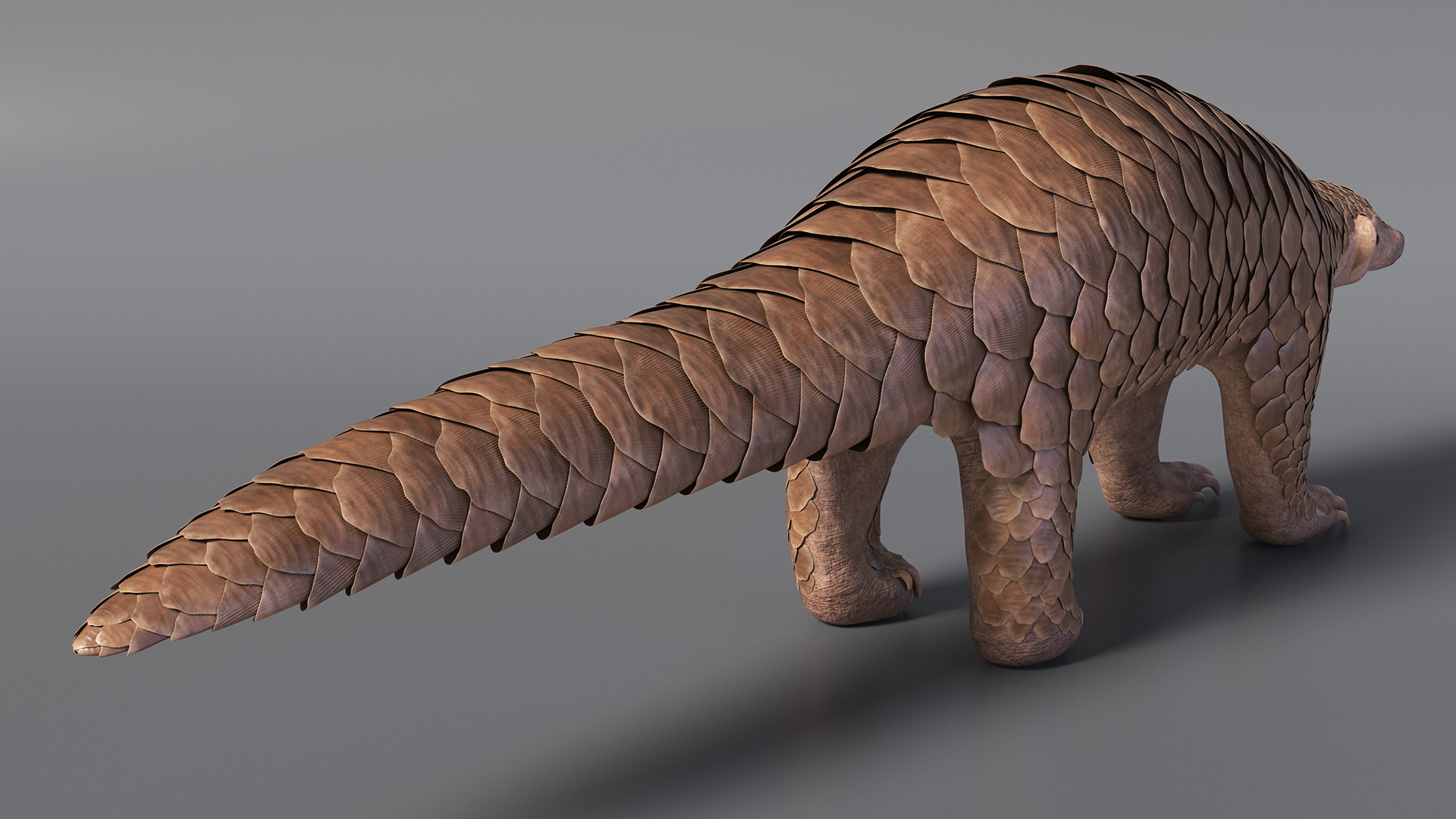 3D model Pangolin Rigged