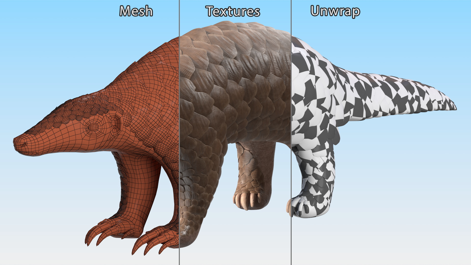 3D model Pangolin Rigged