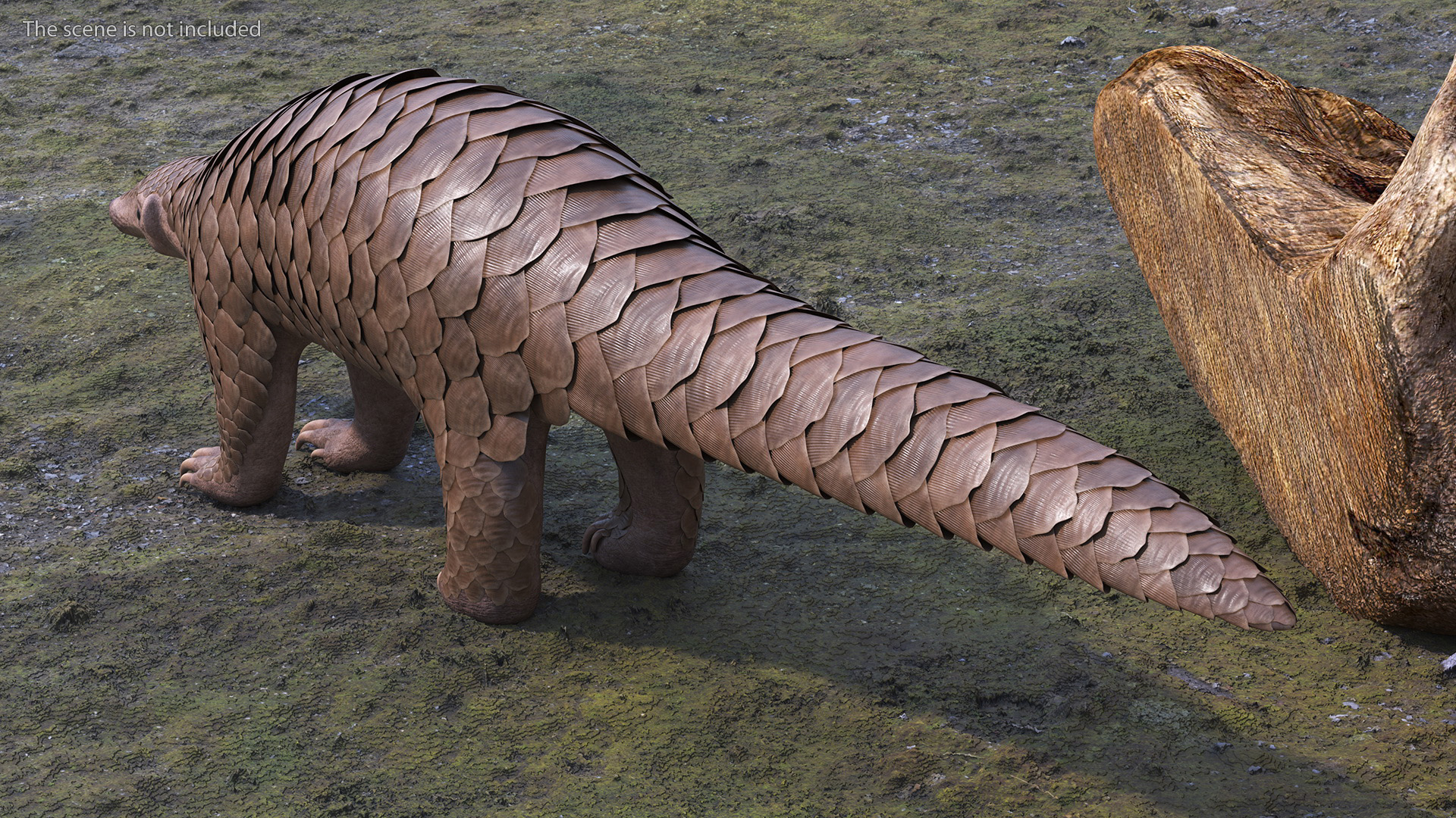 3D model Pangolin Rigged