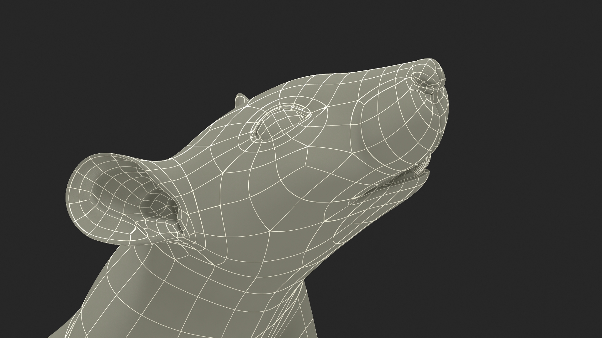 3D Standing Rat with Fur