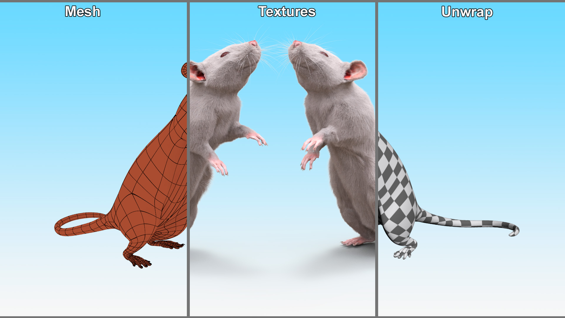 3D Standing Rat with Fur