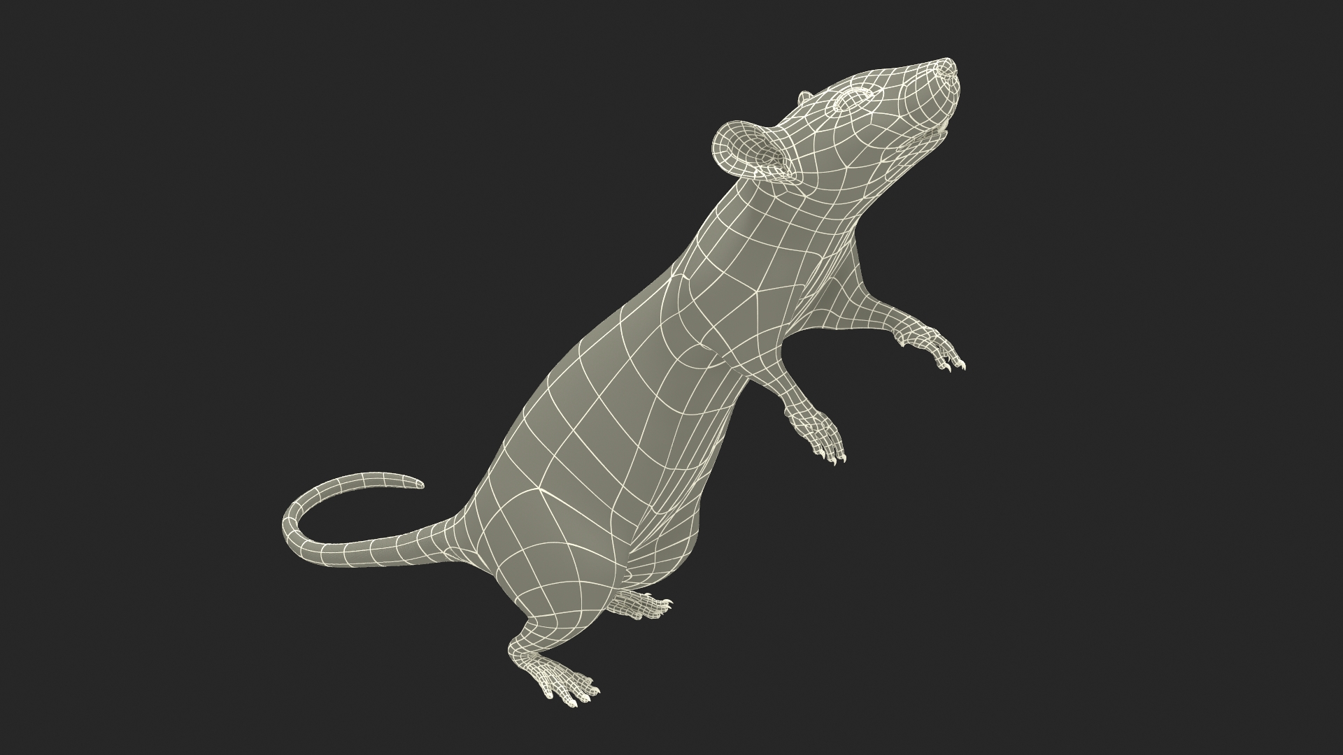 3D Standing Rat with Fur