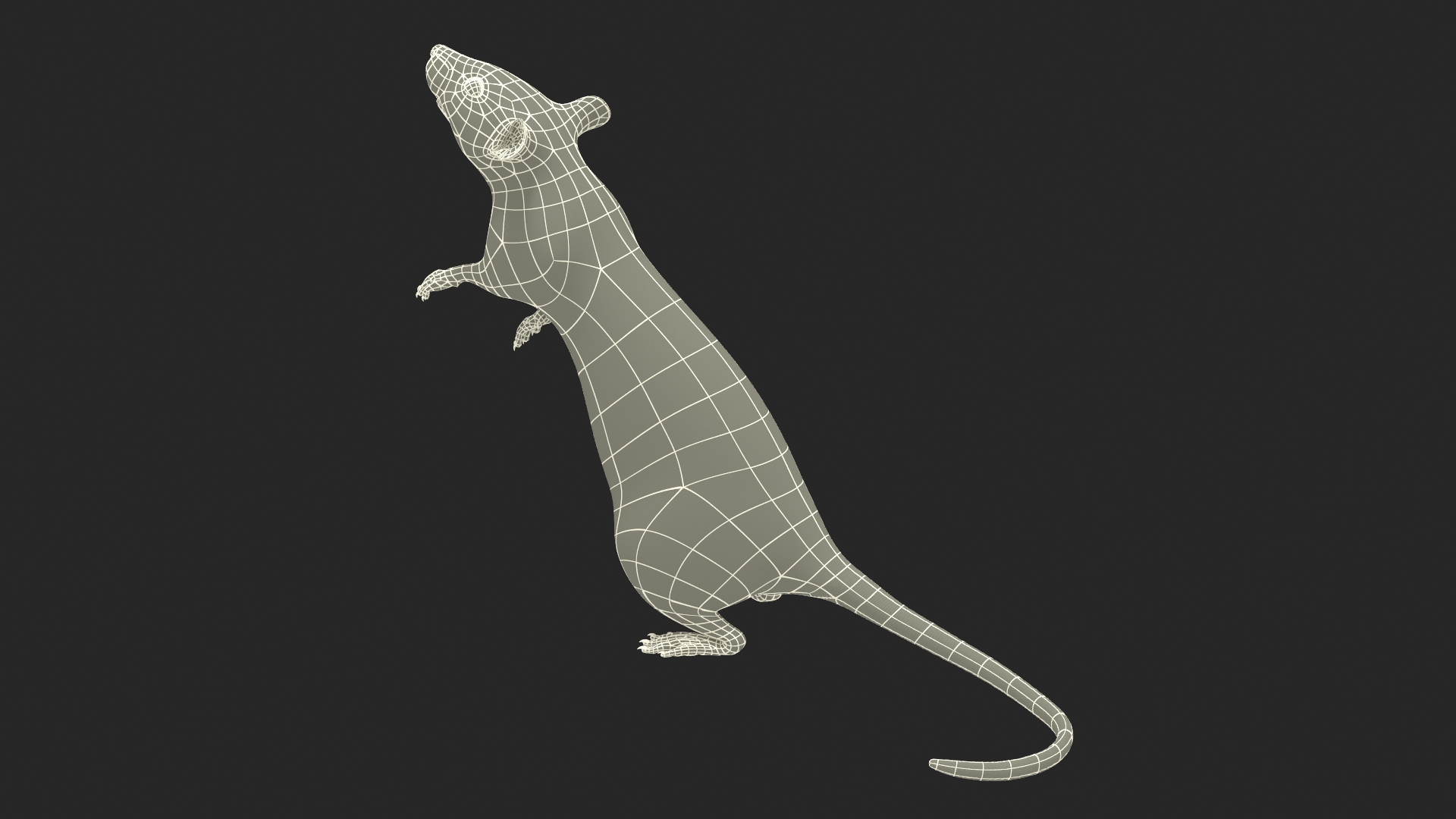 3D Standing Rat with Fur
