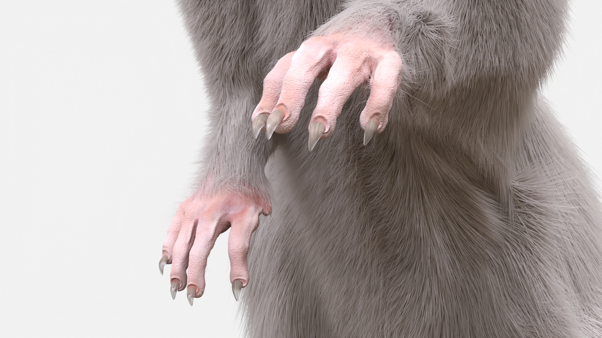 3D Standing Rat with Fur