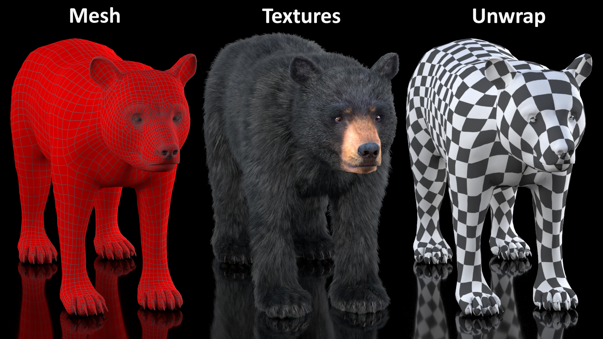 3D model Young Black Bear Fur