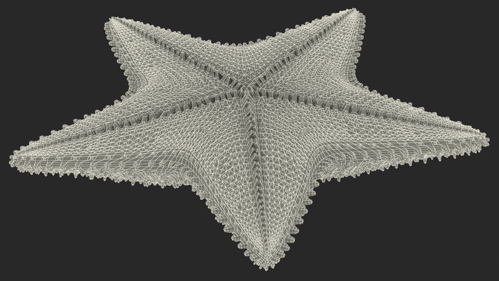 3D Starfish Dark model