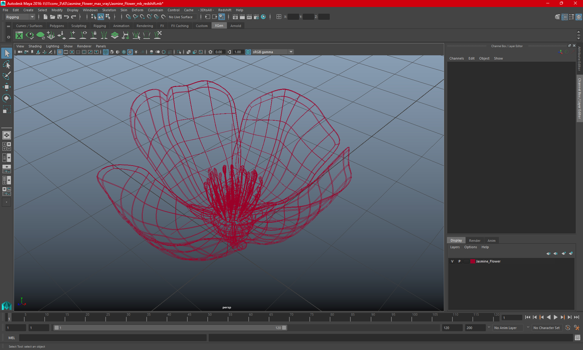 Jasmine Flower 3D model