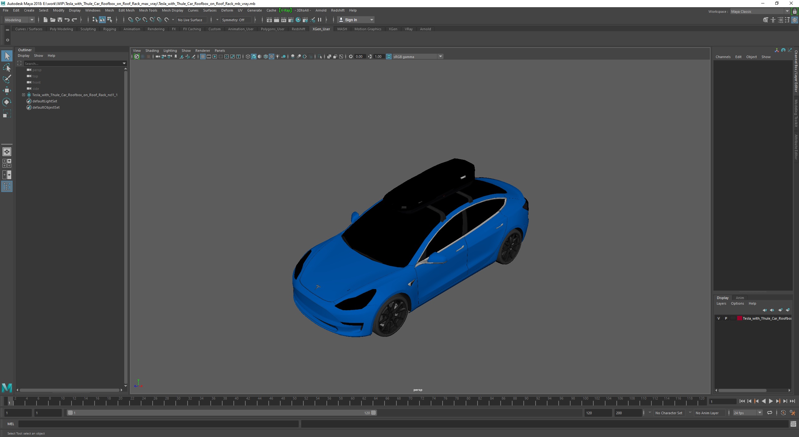 3D Tesla with Thule Car Roofbox on Roof Rack