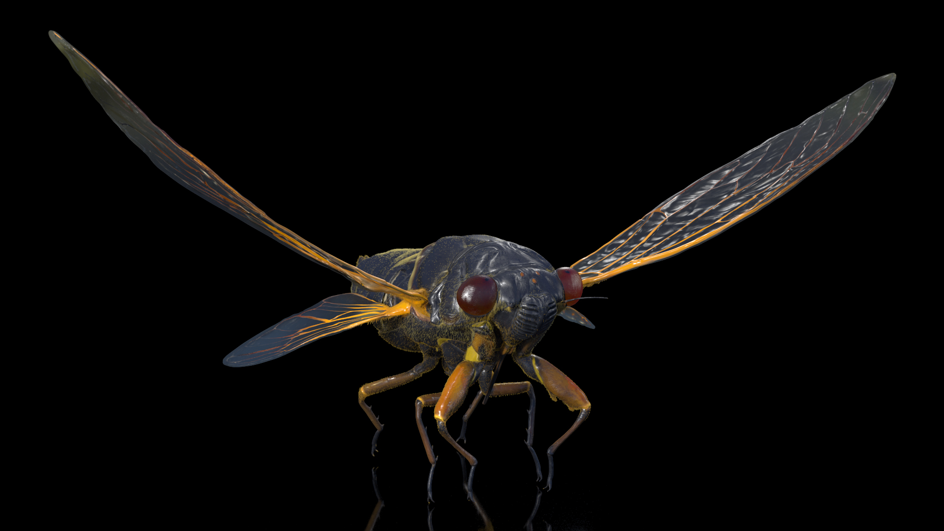 3D Pharaoh Cicada Pose Takeoff Fur