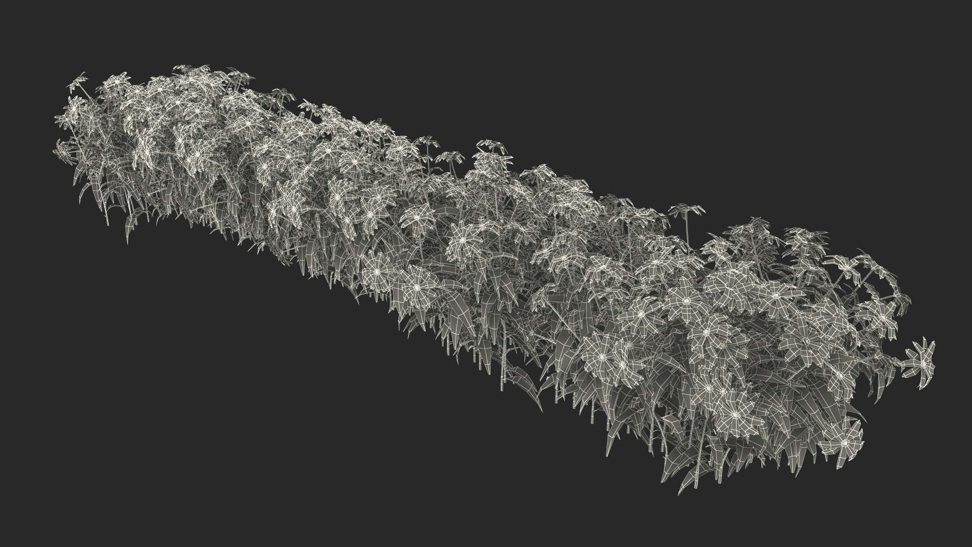 Greenhouse Winter Garden with Flowers 3D
