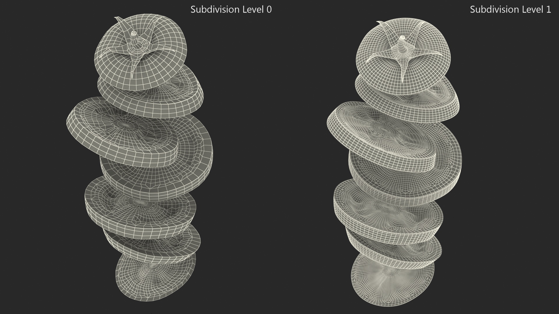 Sliced Tomato in the Air 3D model