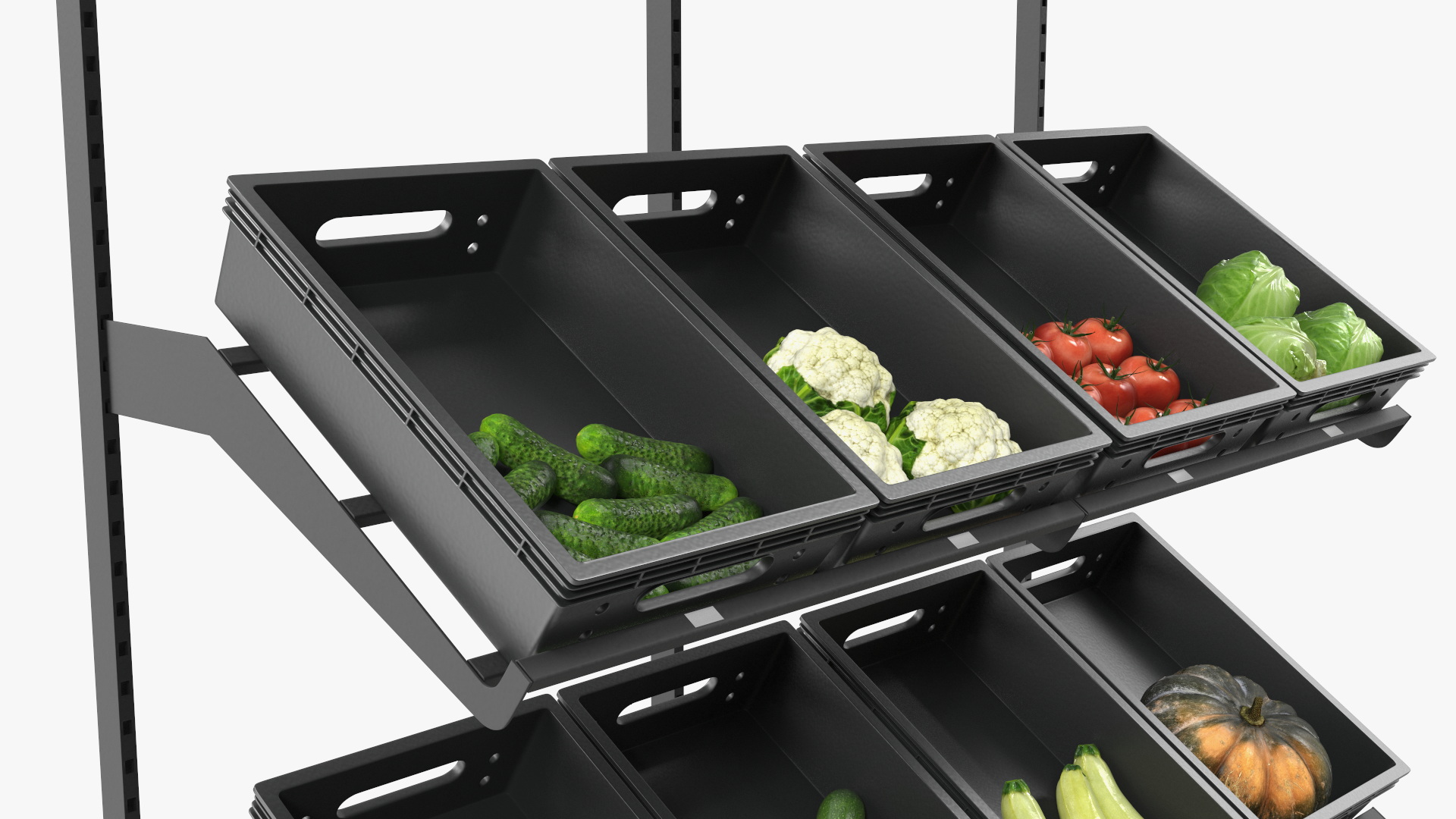 Fresh Vegetables on Display Rack 3D