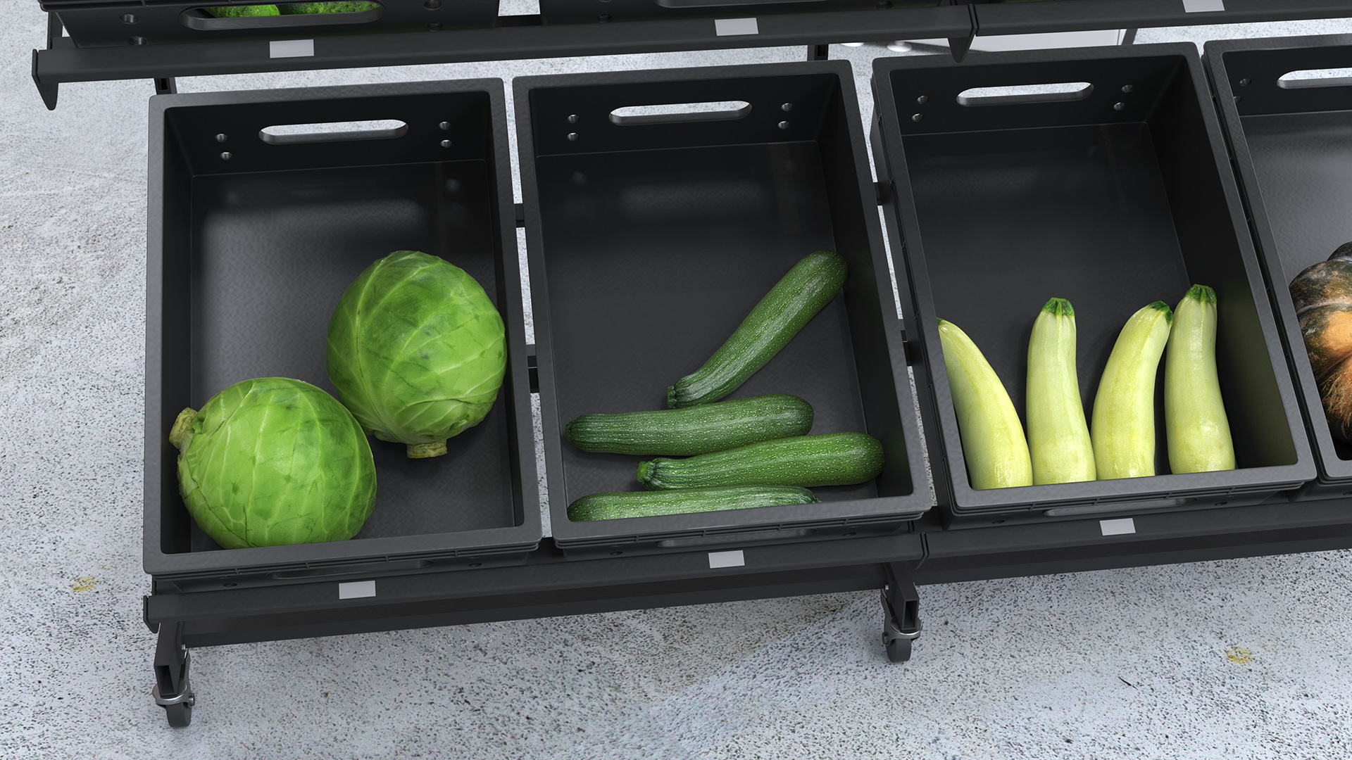 Fresh Vegetables on Display Rack 3D