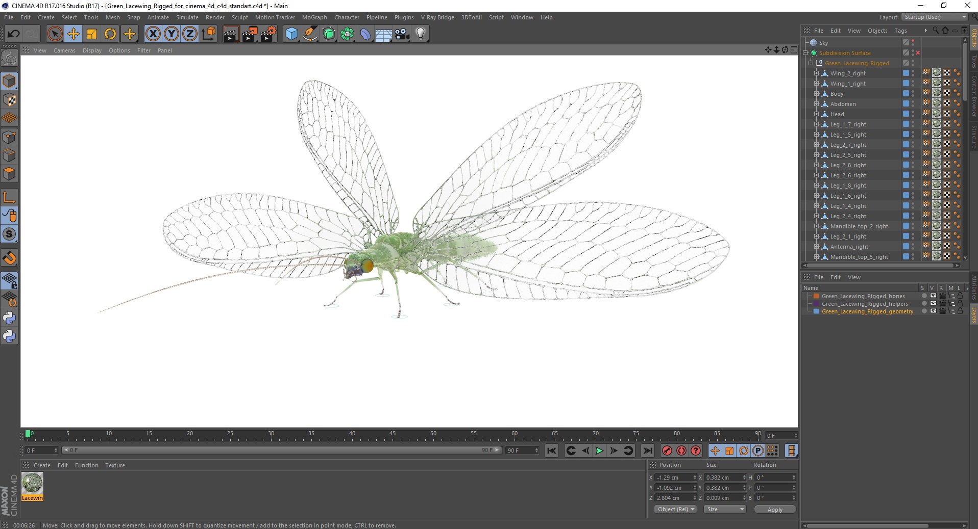 3D model Green Lacewing Rigged for Cinema 4D