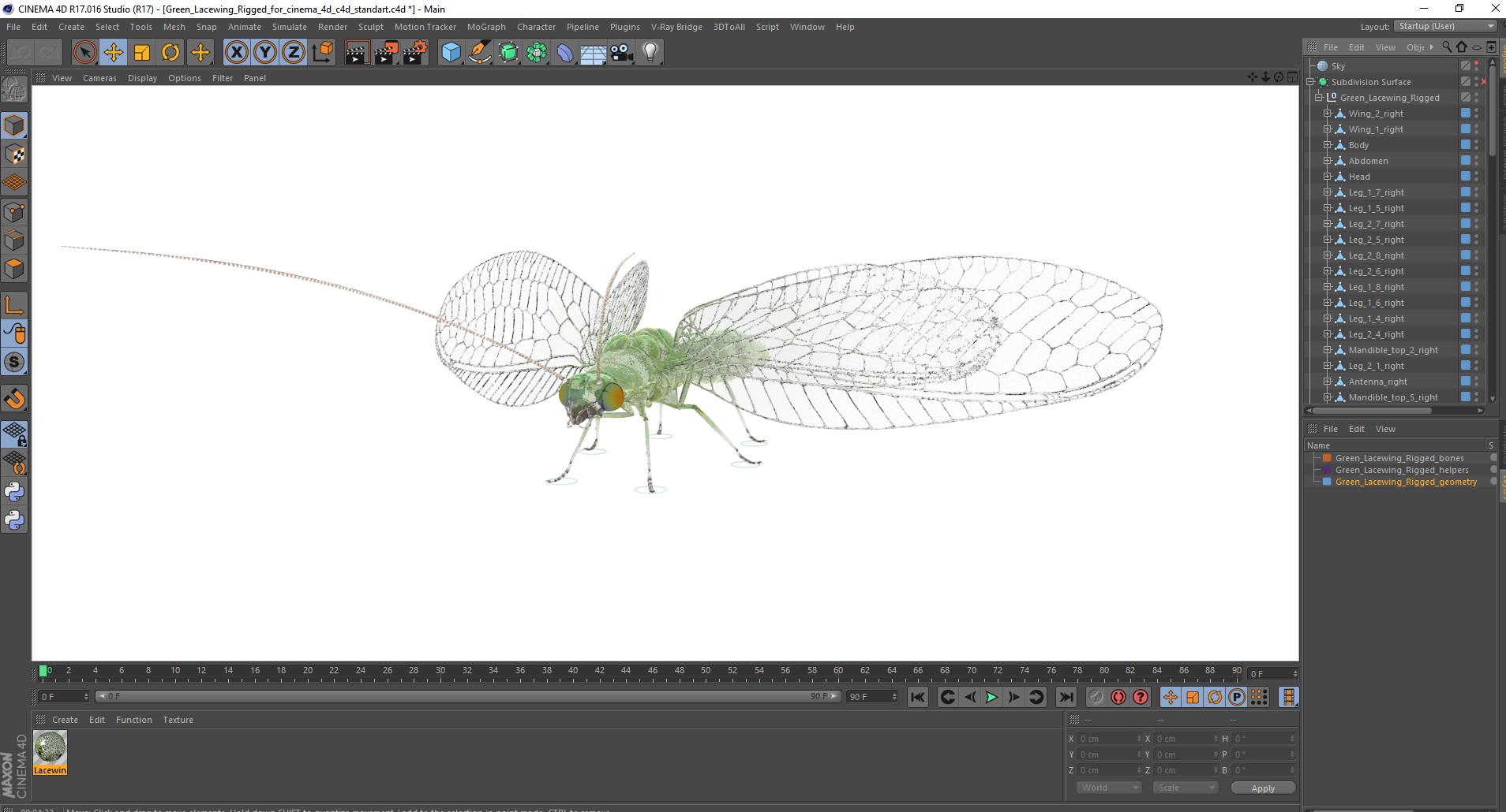 3D model Green Lacewing Rigged for Cinema 4D