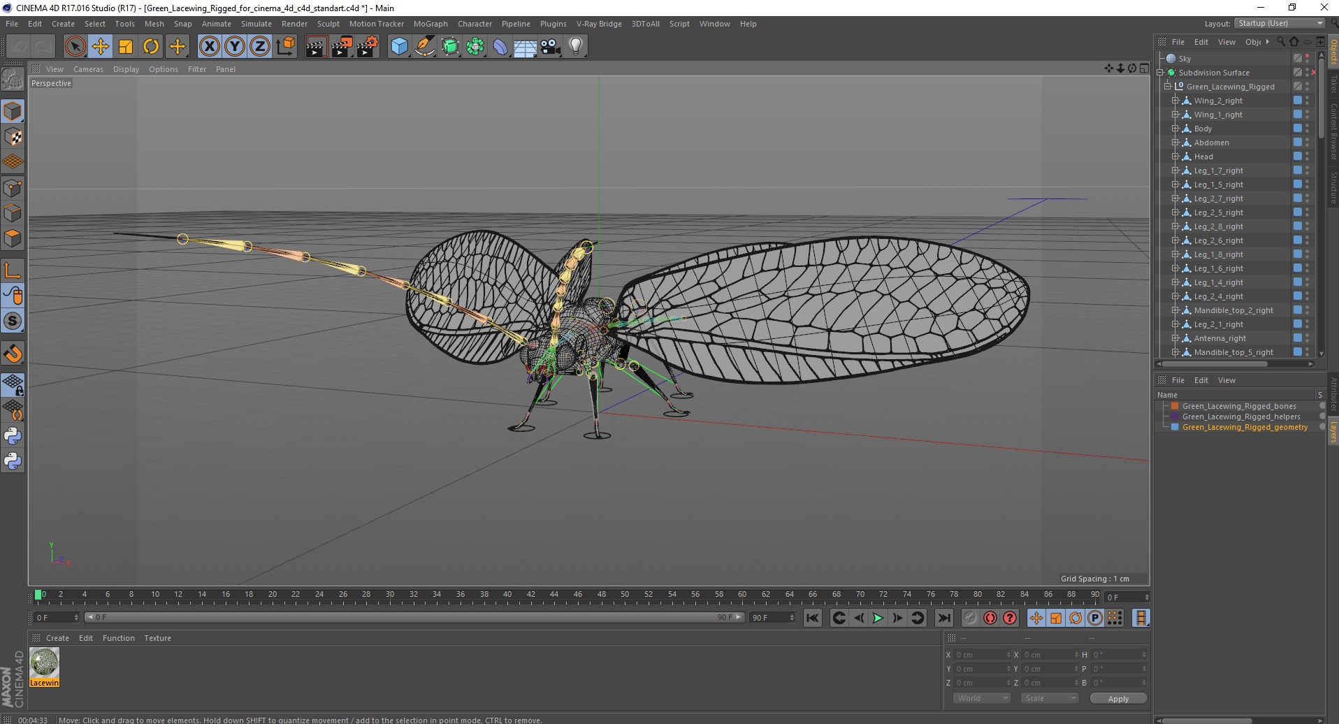 3D model Green Lacewing Rigged for Cinema 4D