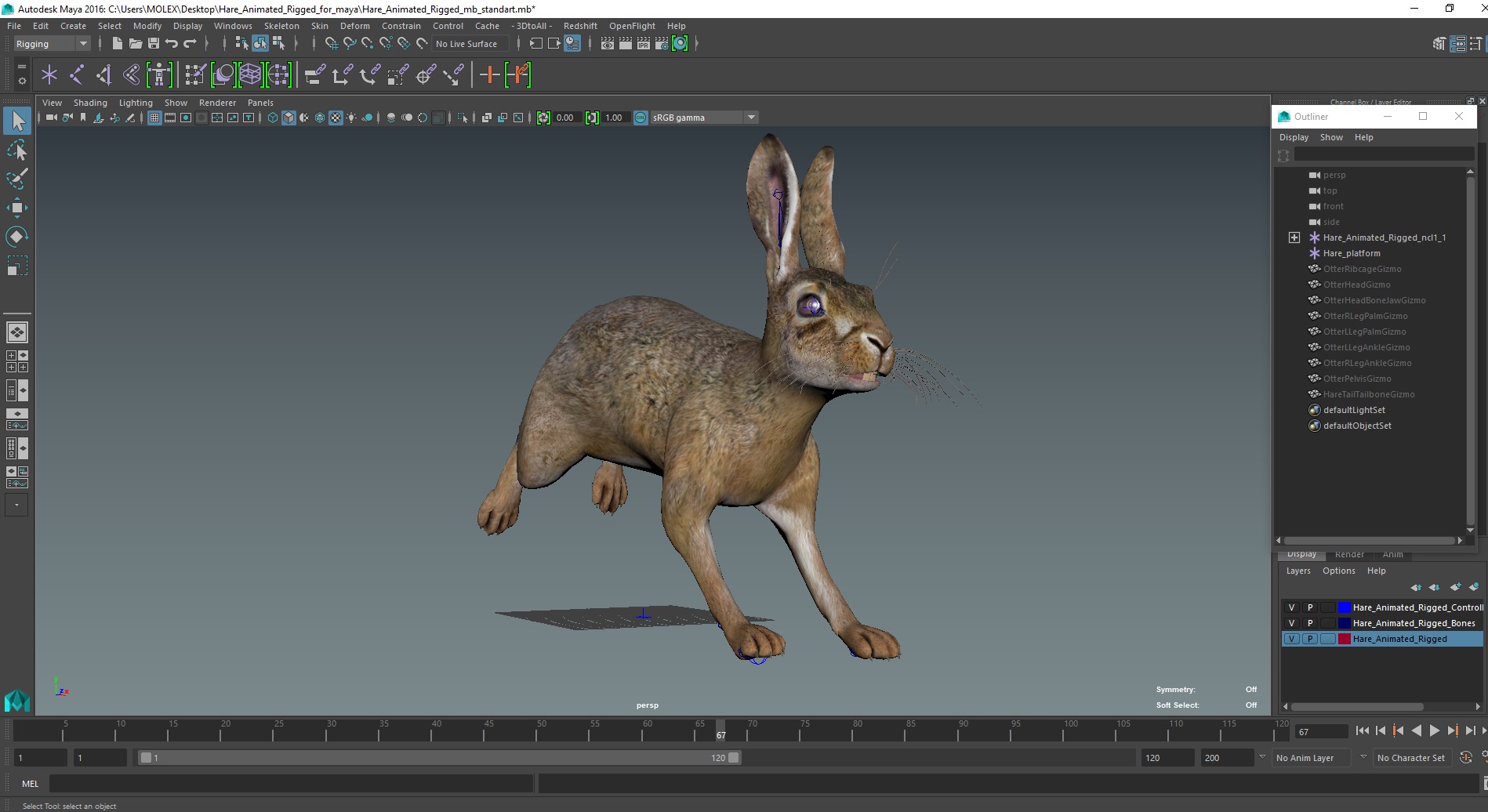 3D model Hare  Animated Rigged for Maya