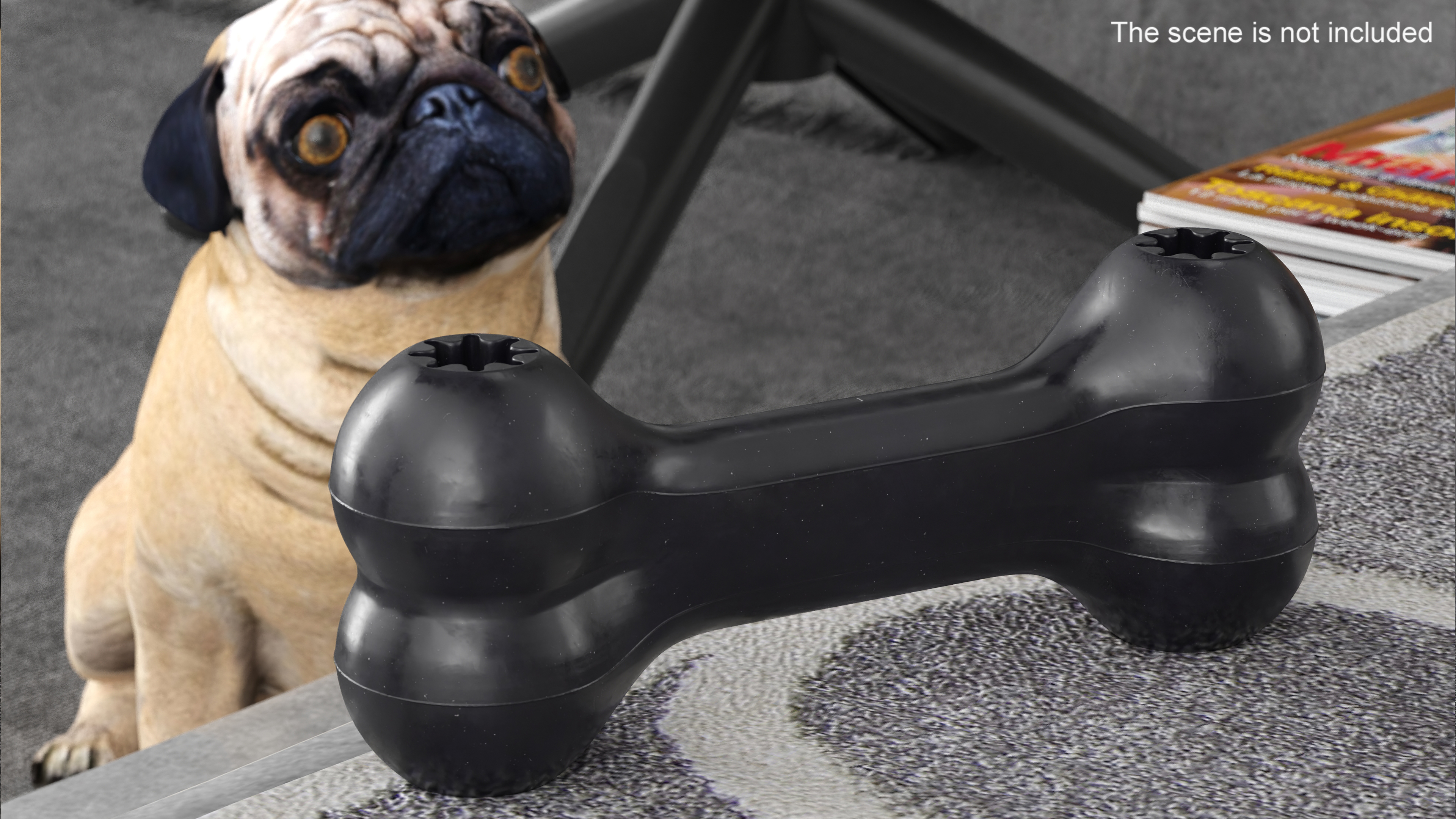 3D Bone Dog Toy Black model