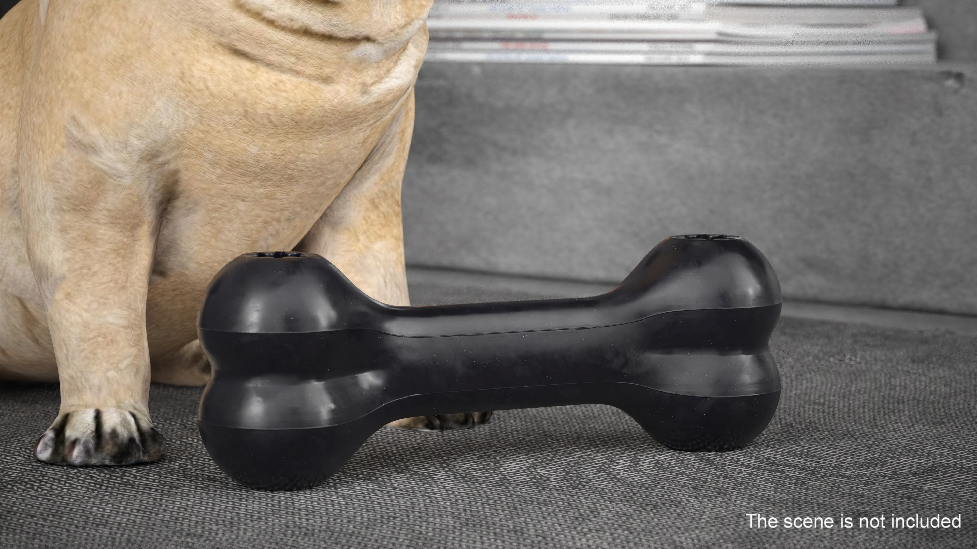 3D Bone Dog Toy Black model