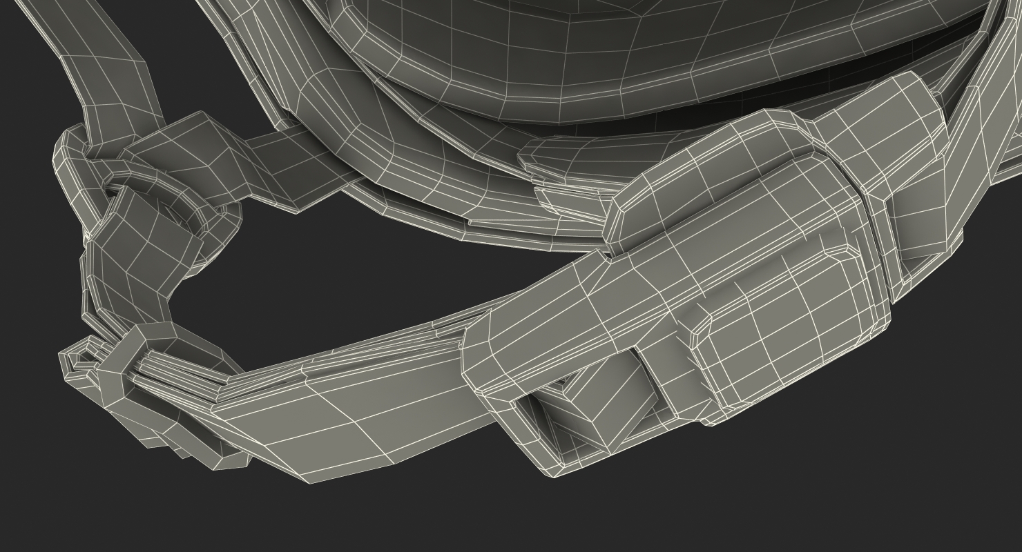 3D model Skate Helmet Pro Tec