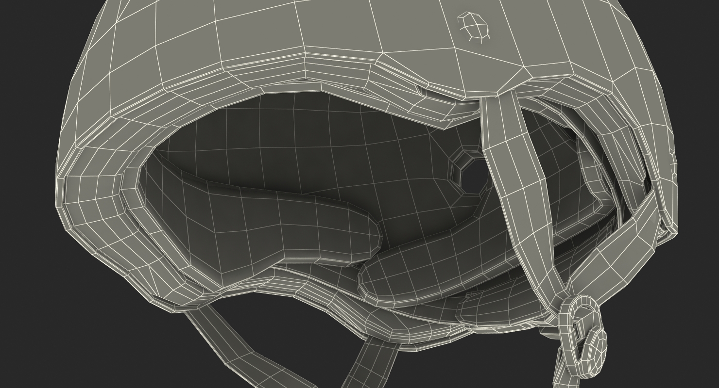 3D model Skate Helmet Pro Tec