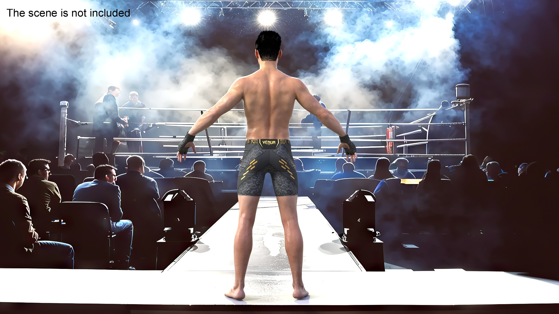 3D UFC MMA Fighter Wet with Sweat A-Pose Fur
