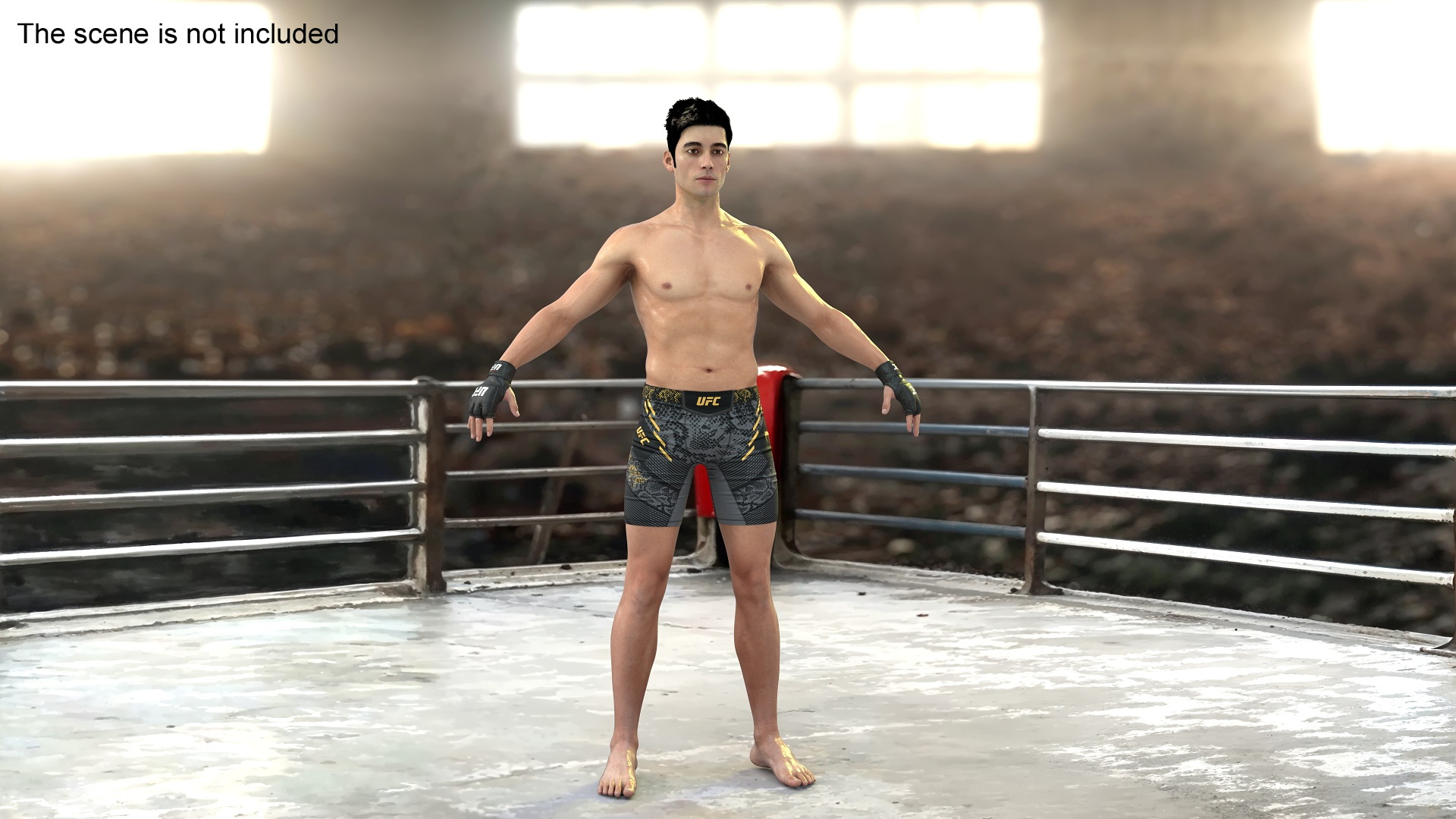 3D UFC MMA Fighter Wet with Sweat A-Pose Fur