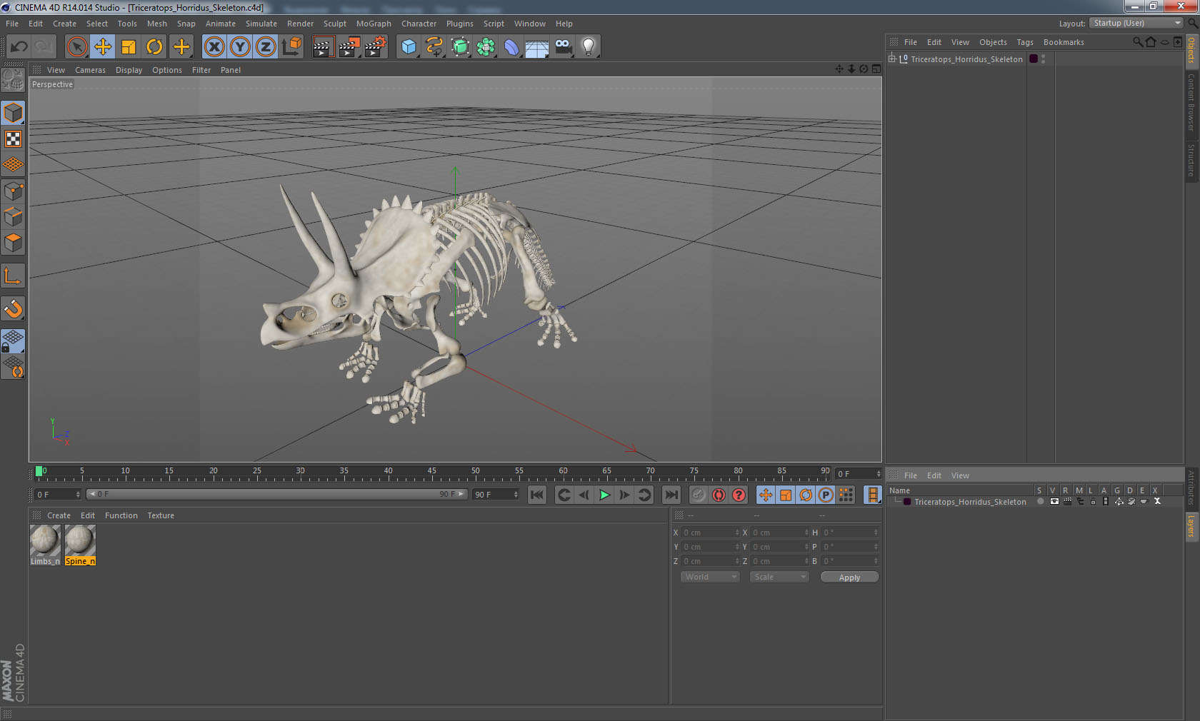 Triceratops Horridus Skeleton 3D model