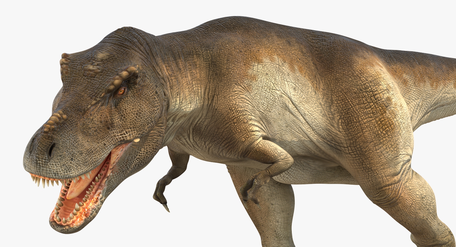 3D model Tyrannosaurus Rex Attacks